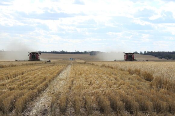 Brazil, Australia open talks on agricultural trade agreements